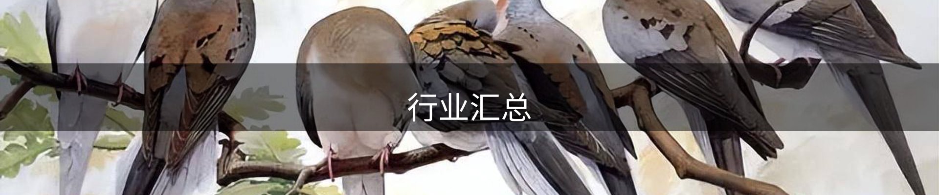行业汇总